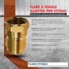 Everflow 1/2" Flare x FIP Adapter Pipe Fitting; Brass F46-12